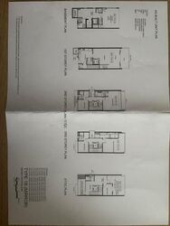 Parkwood Collection (D19), Semi-Detached #513396741